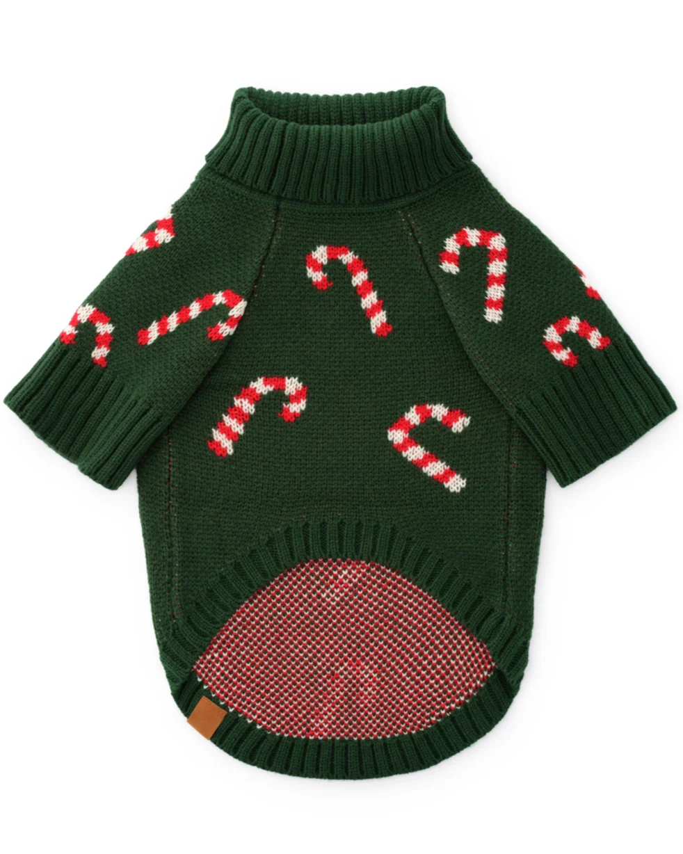 Candy Cutie Green Knit Dog Sweater - Image 4
