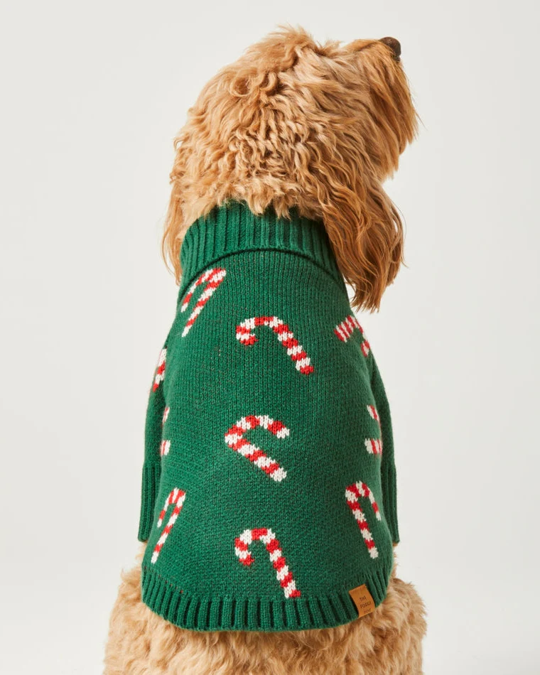 Candy Cutie Green Knit Dog Sweater - Image 5