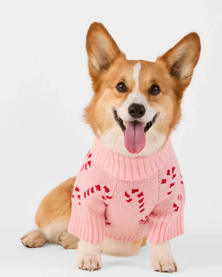 Candy Cutie Pink Knit Dog Sweater - Image 2