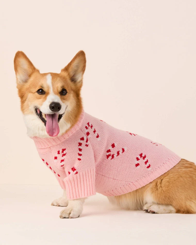 Candy Cutie Pink Knit Dog Sweater - Image 3