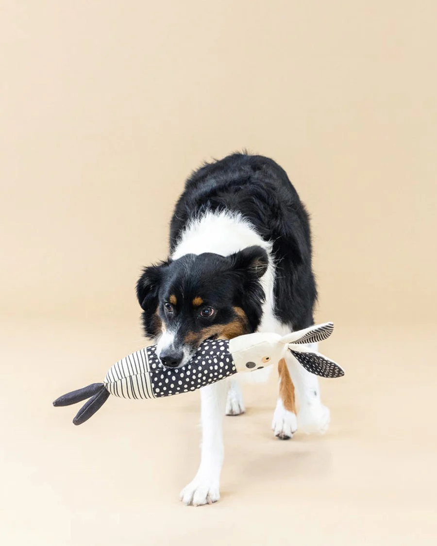 All Ears Canvas Bunny Dog Toy - Image 2