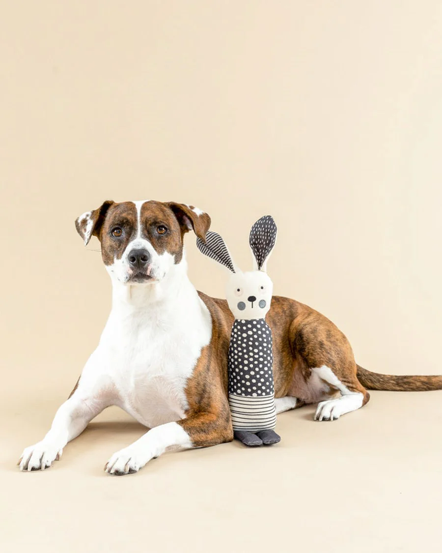 All Ears Canvas Bunny Dog Toy - Image 3