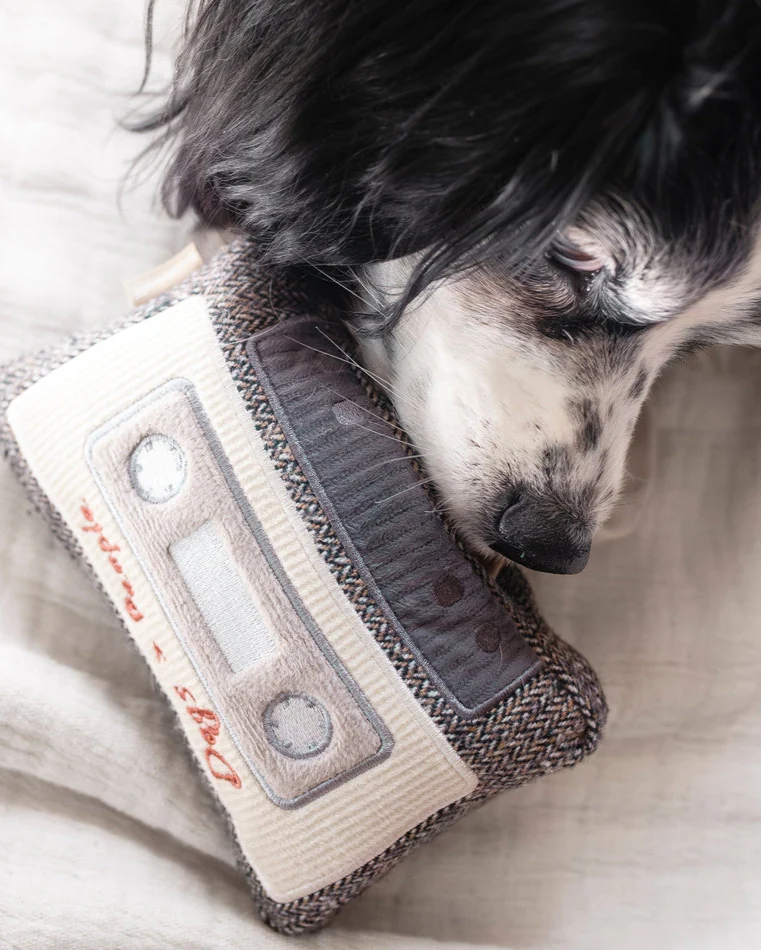 Bark to the 80s Snuffle Cassette Toy - Image 4