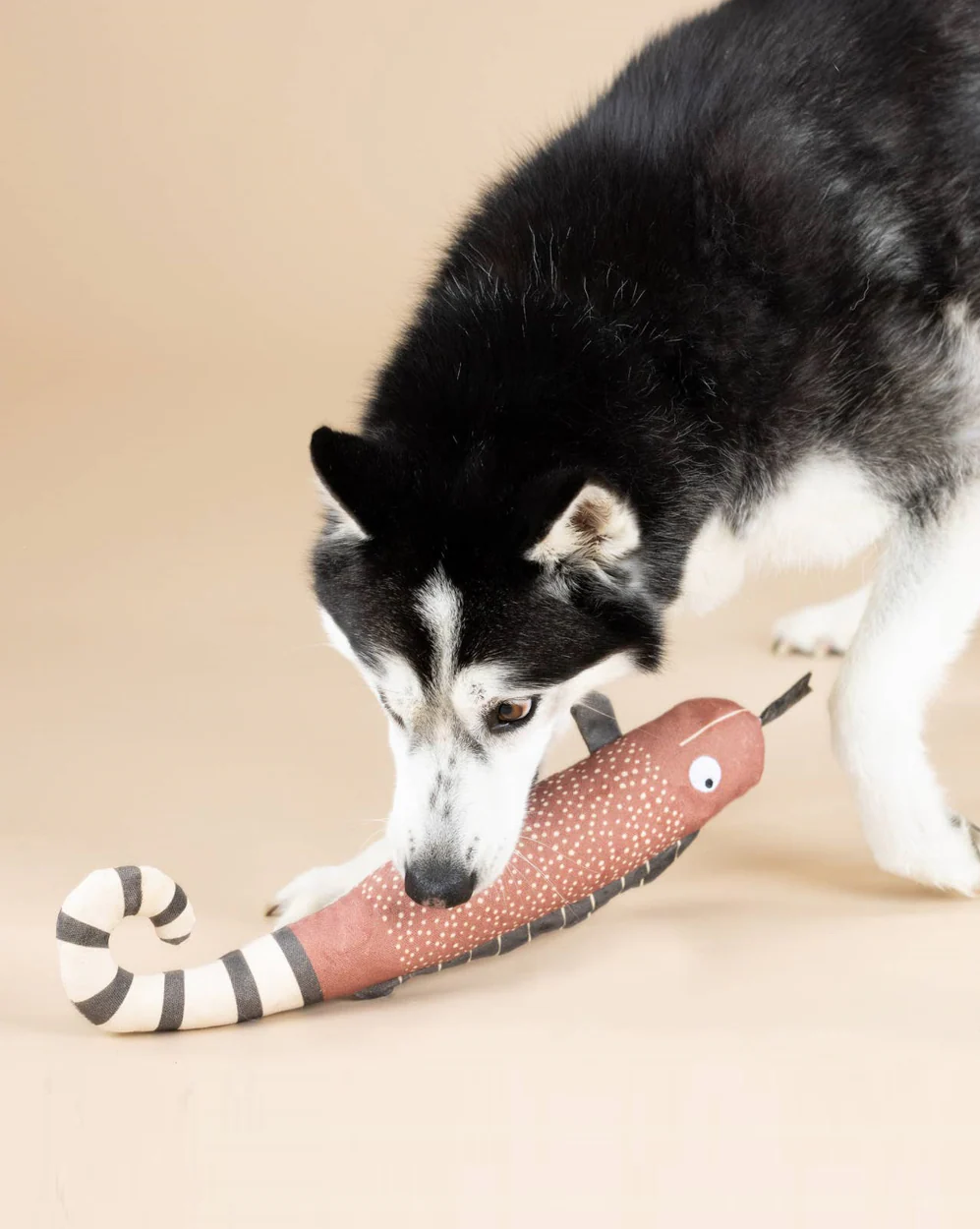 One in Chameleon Canvas Dog Toy - Image 2