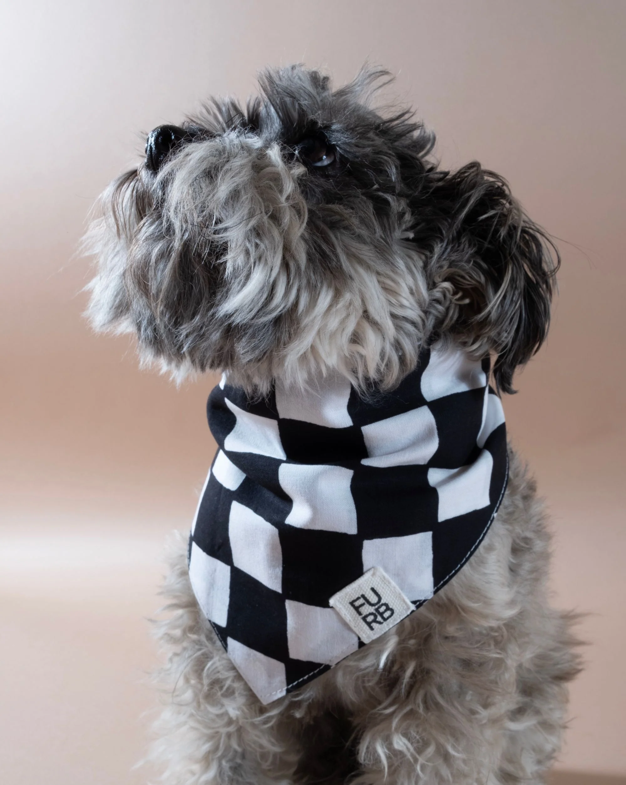 Make a Move Black Check Bandana - Image 2