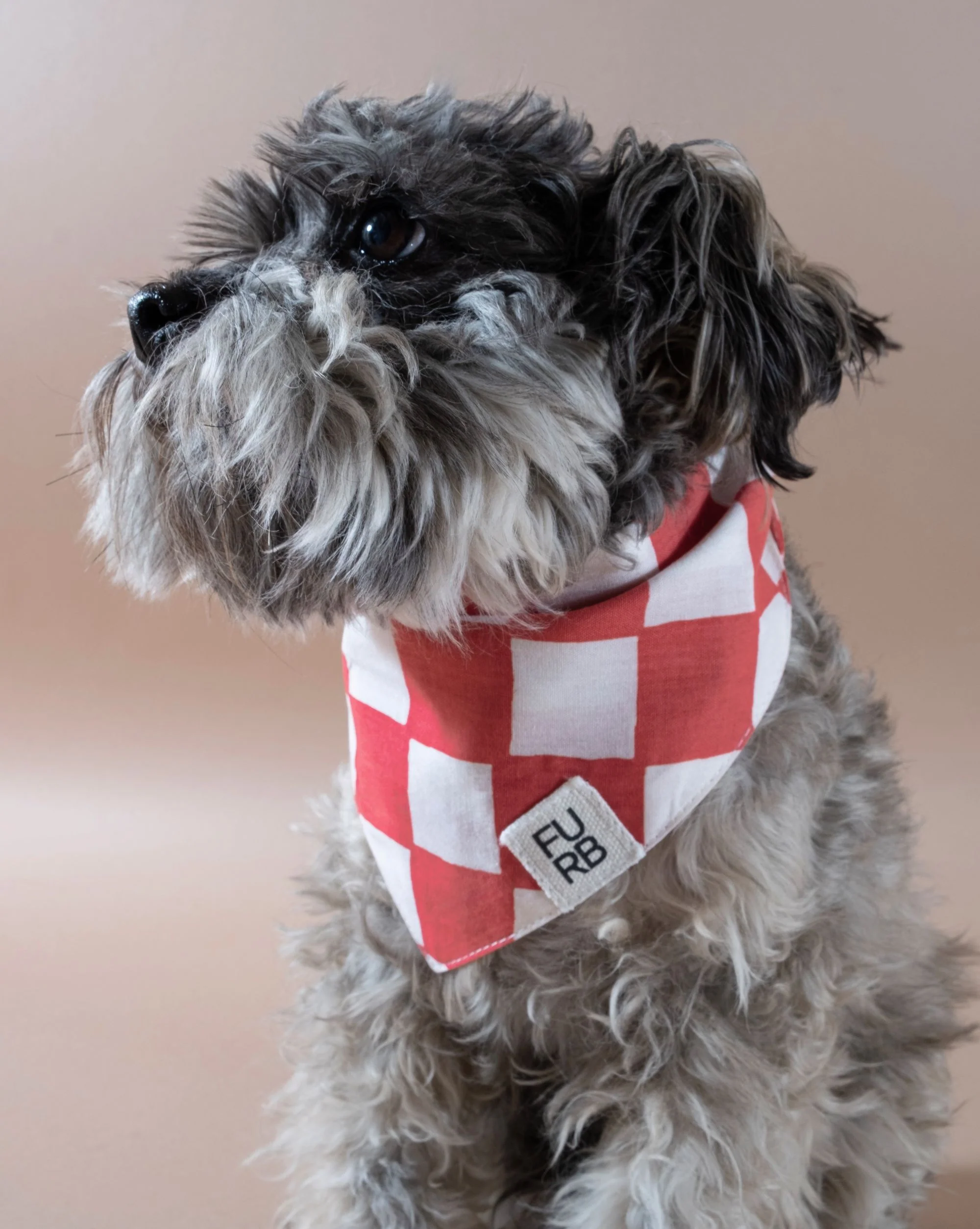 Make a Move Red Check Bandana - Image 3