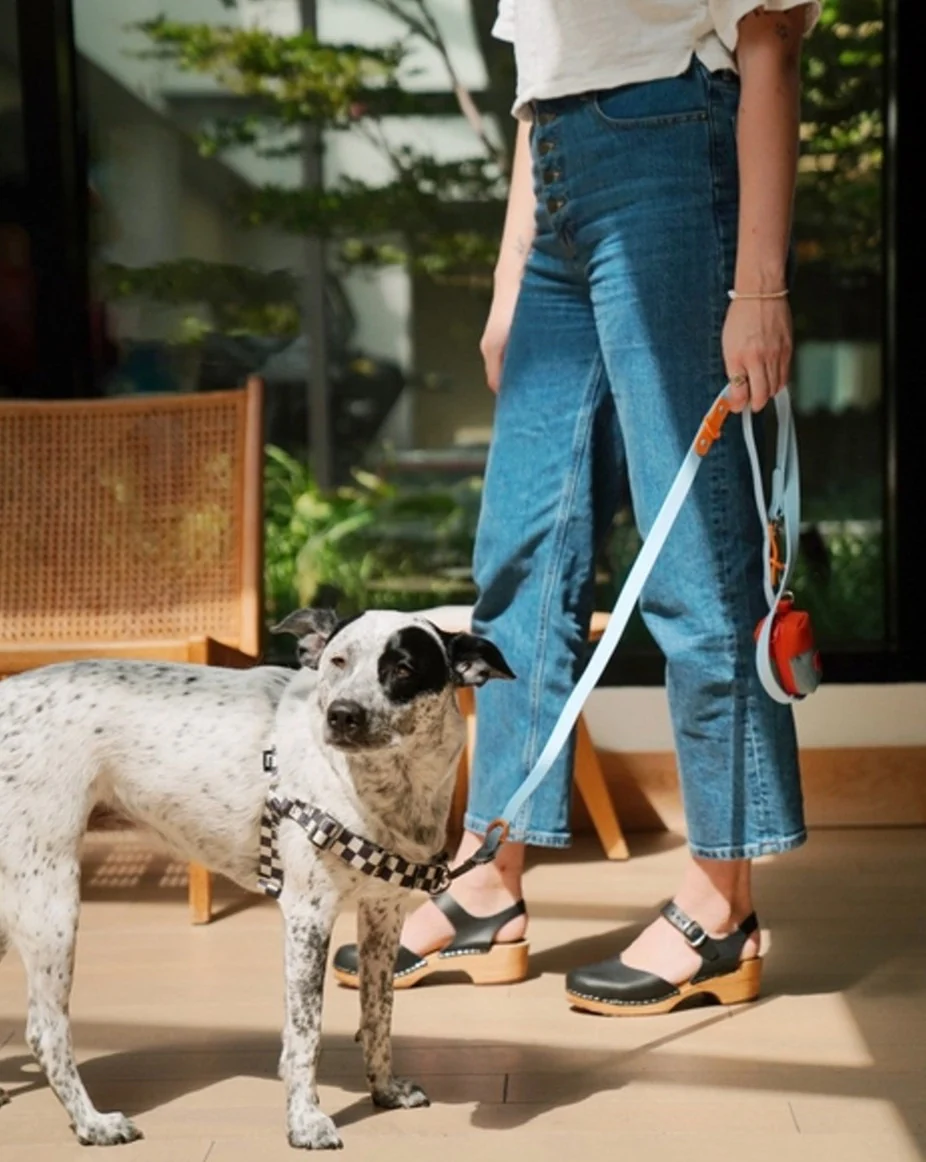 The Fritz Dog Harness - Image 2