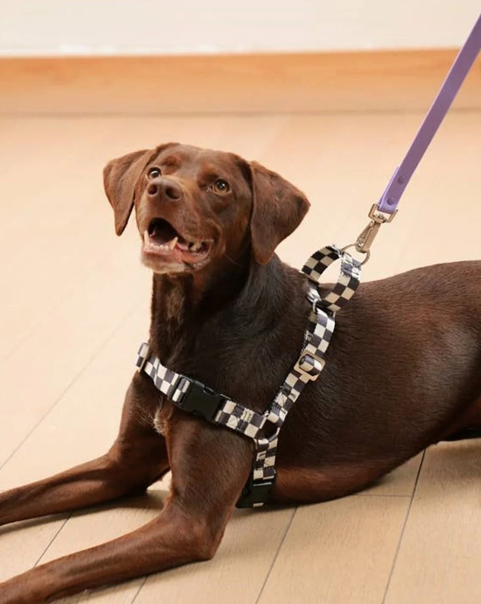 The Fritz Dog Harness - Image 3