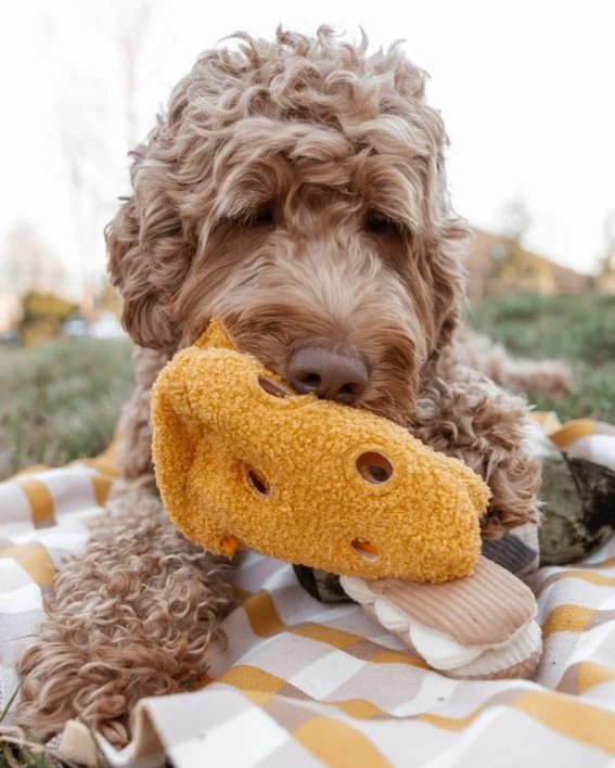 Fromage With Love Cheese Dog Toy - Image 2