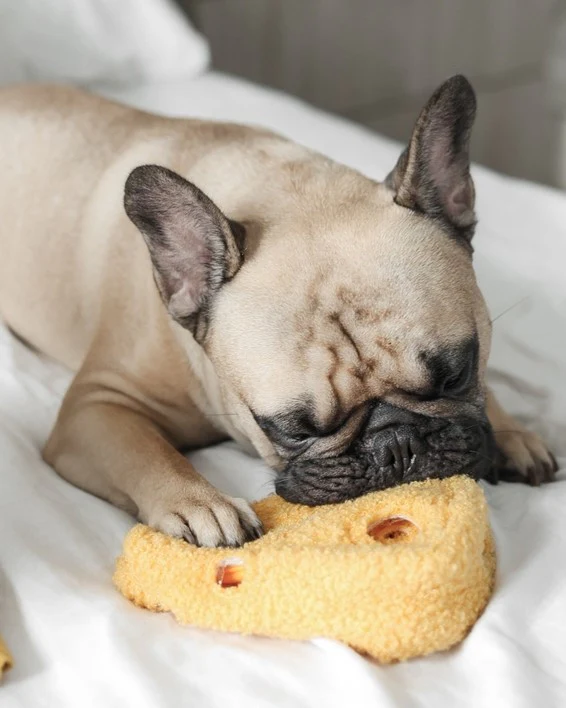 Fromage With Love Cheese Dog Toy - Image 3