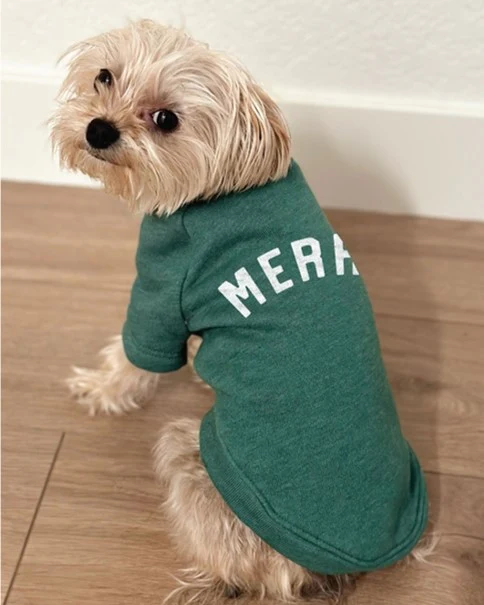 Santa's Little Helper Dog Sweatshirt - Image 2