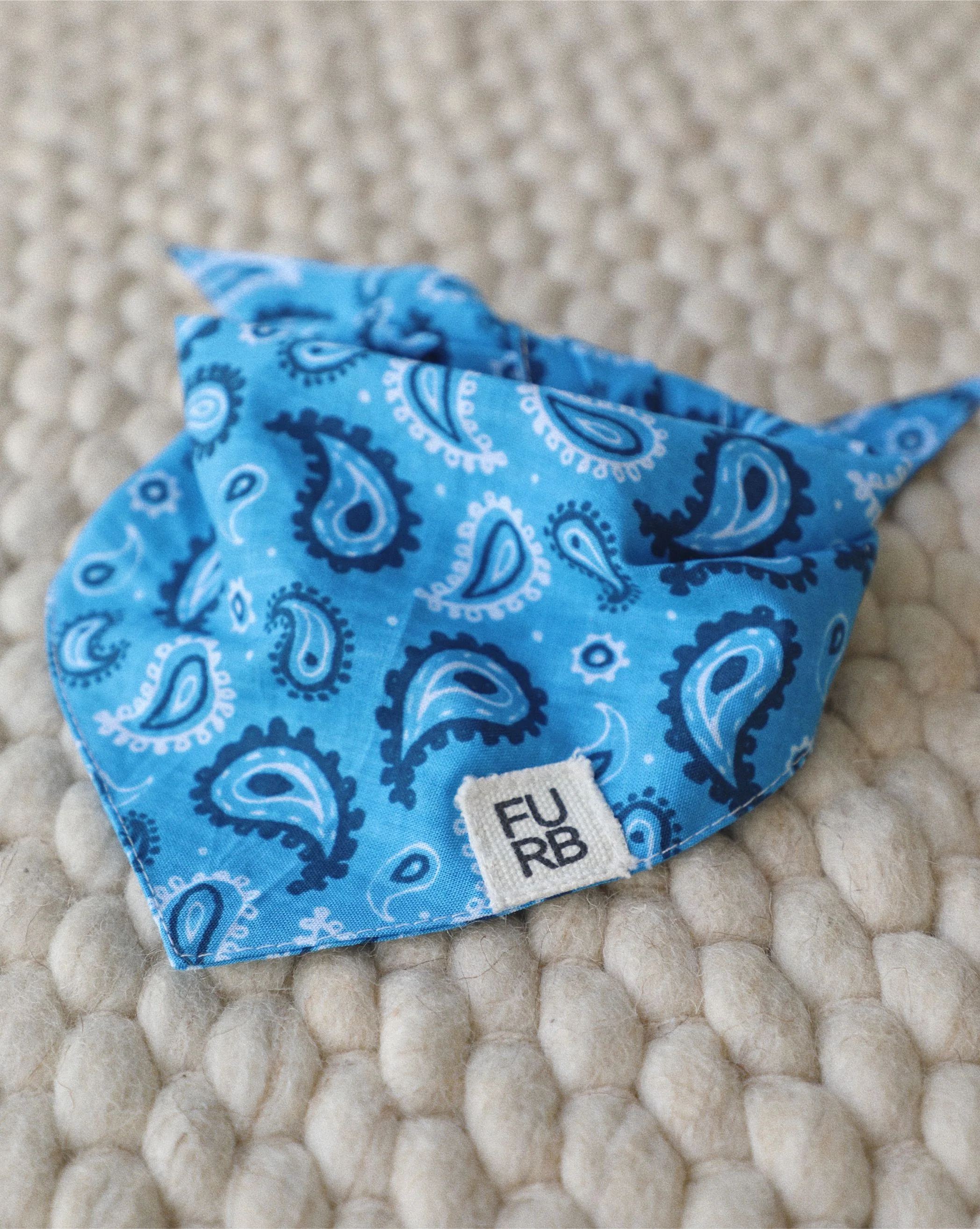 Hello Dolly Blue Paisley Dog Bandana
