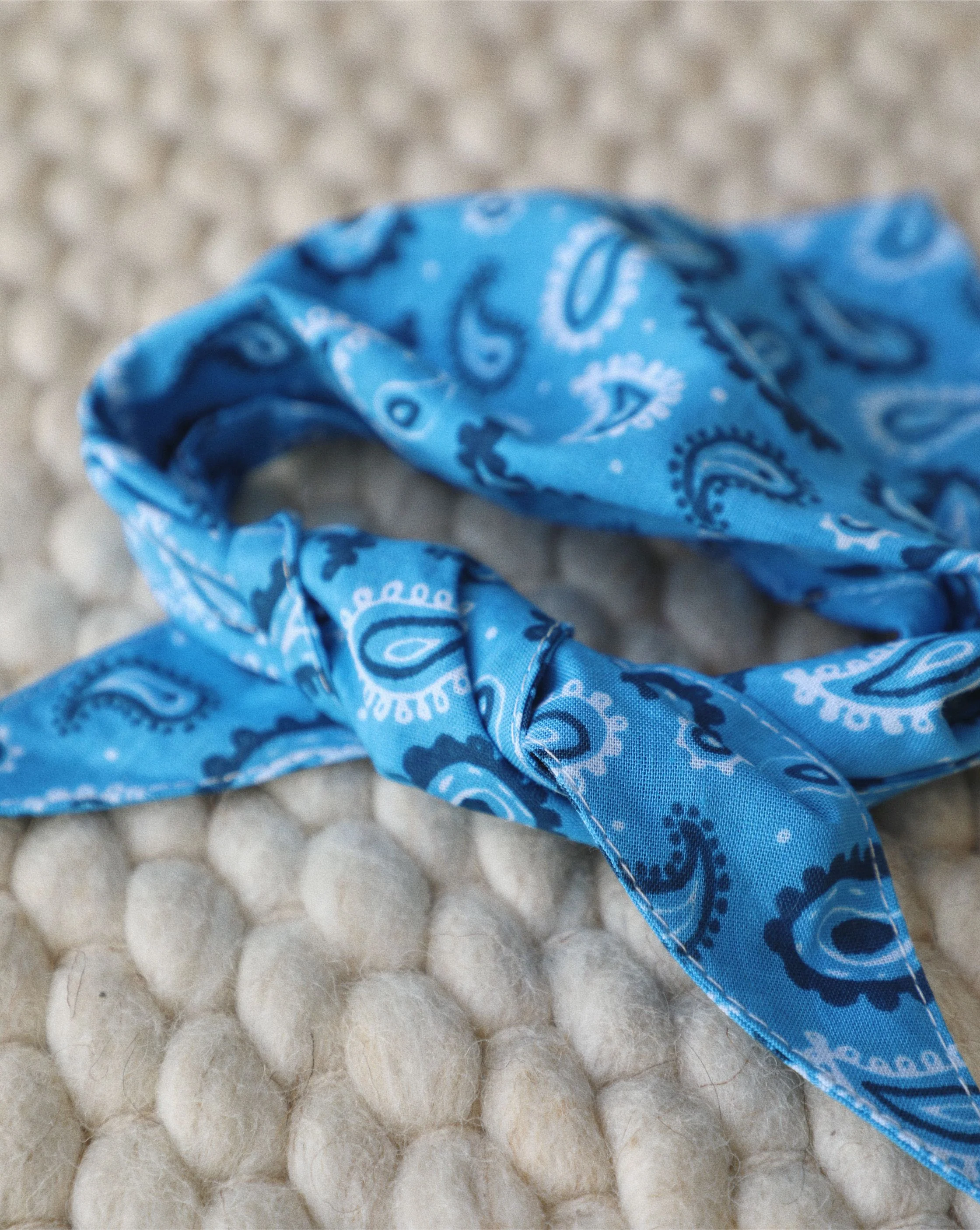 Hello Dolly Blue Paisley Dog Bandana - Image 3