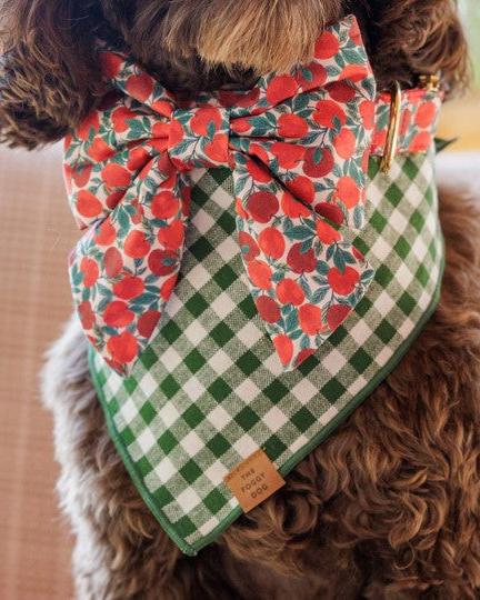 Paw Party Green Gingham Dog Bandana - Image 2