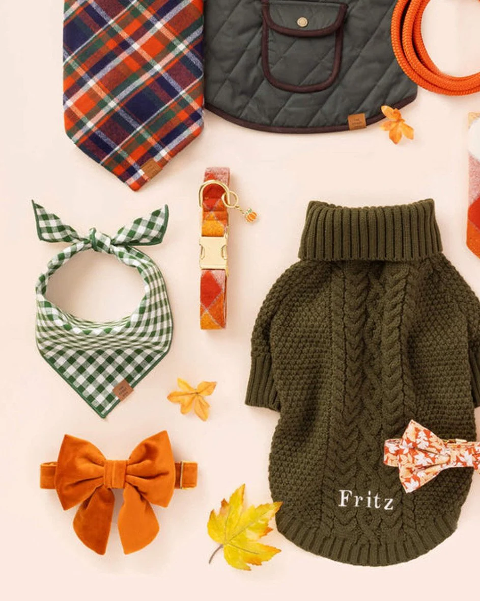 Paw Party Green Gingham Dog Bandana - Image 3