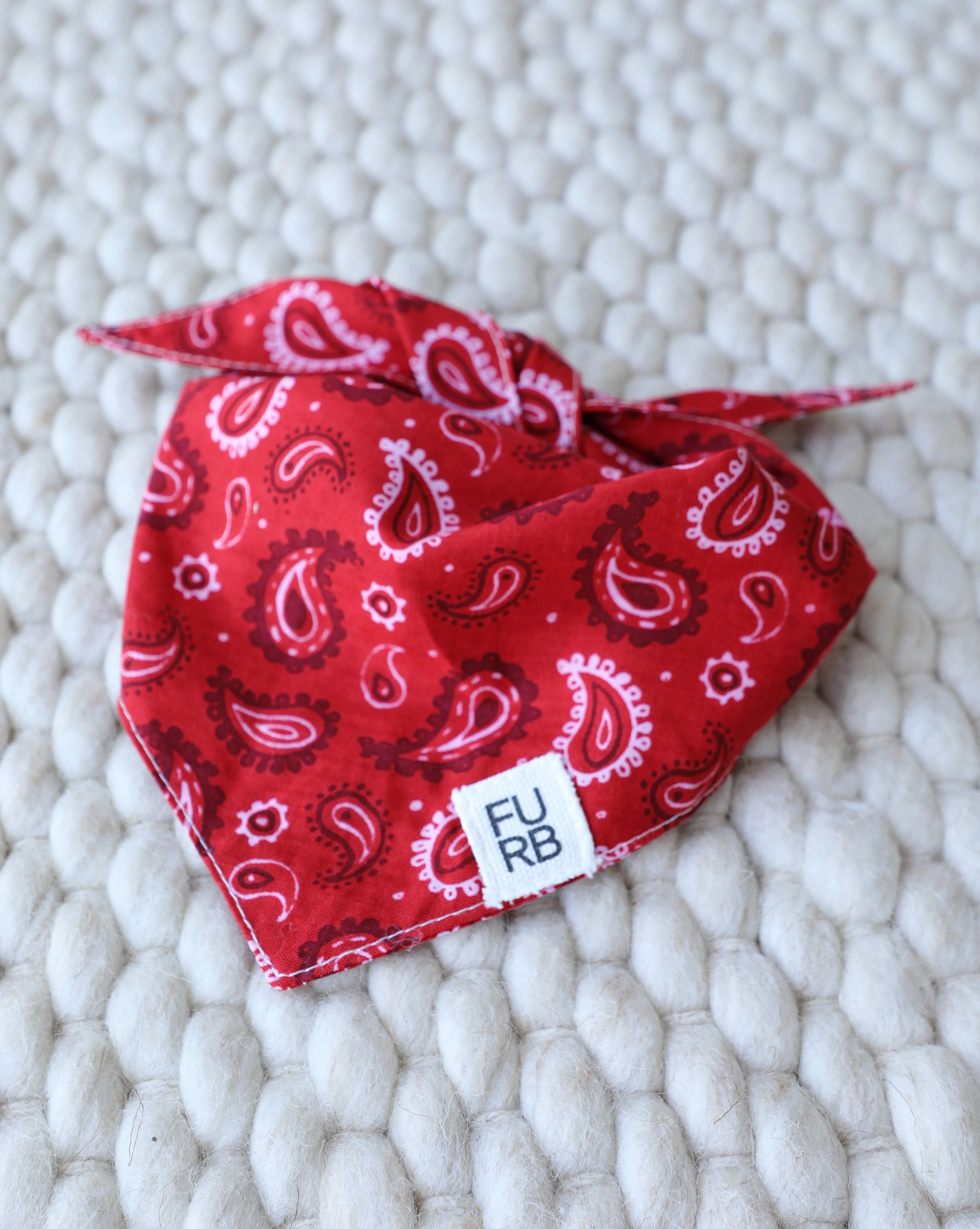 Hello Dolly Red Paisley Dog Bandana - Image 2
