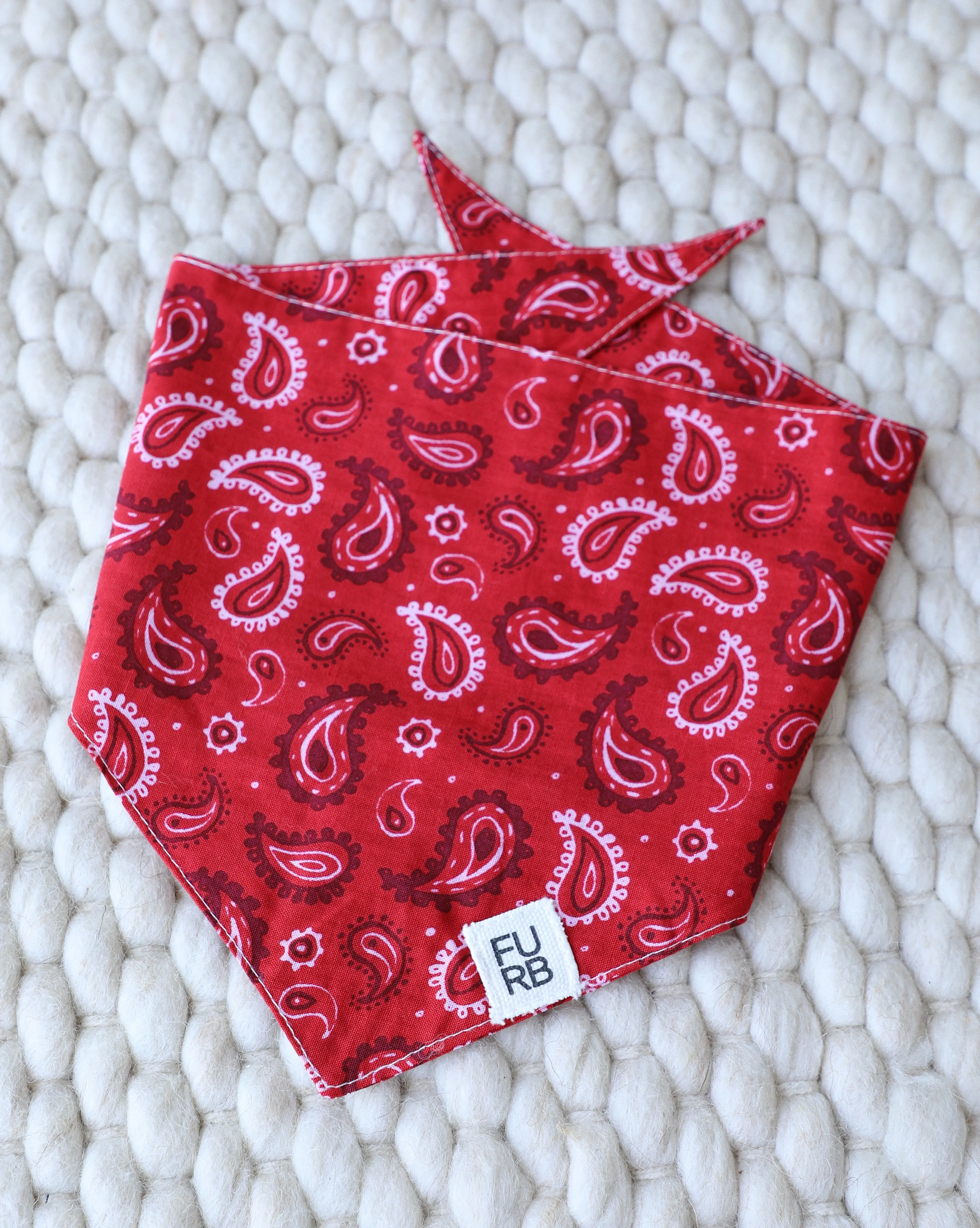 Hello Dolly Red Paisley Dog Bandana - Image 3