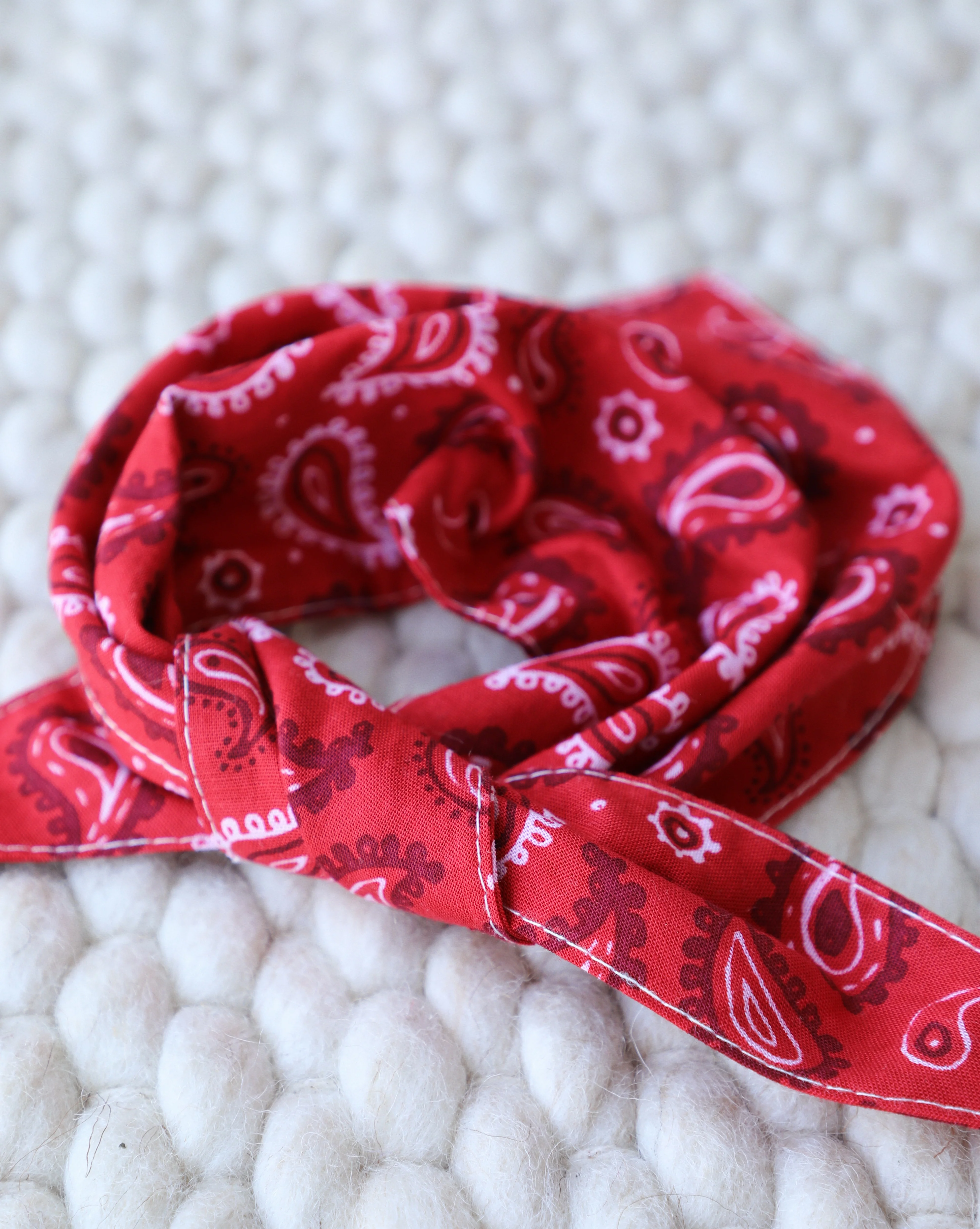 Hello Dolly Red Paisley Dog Bandana - Image 4