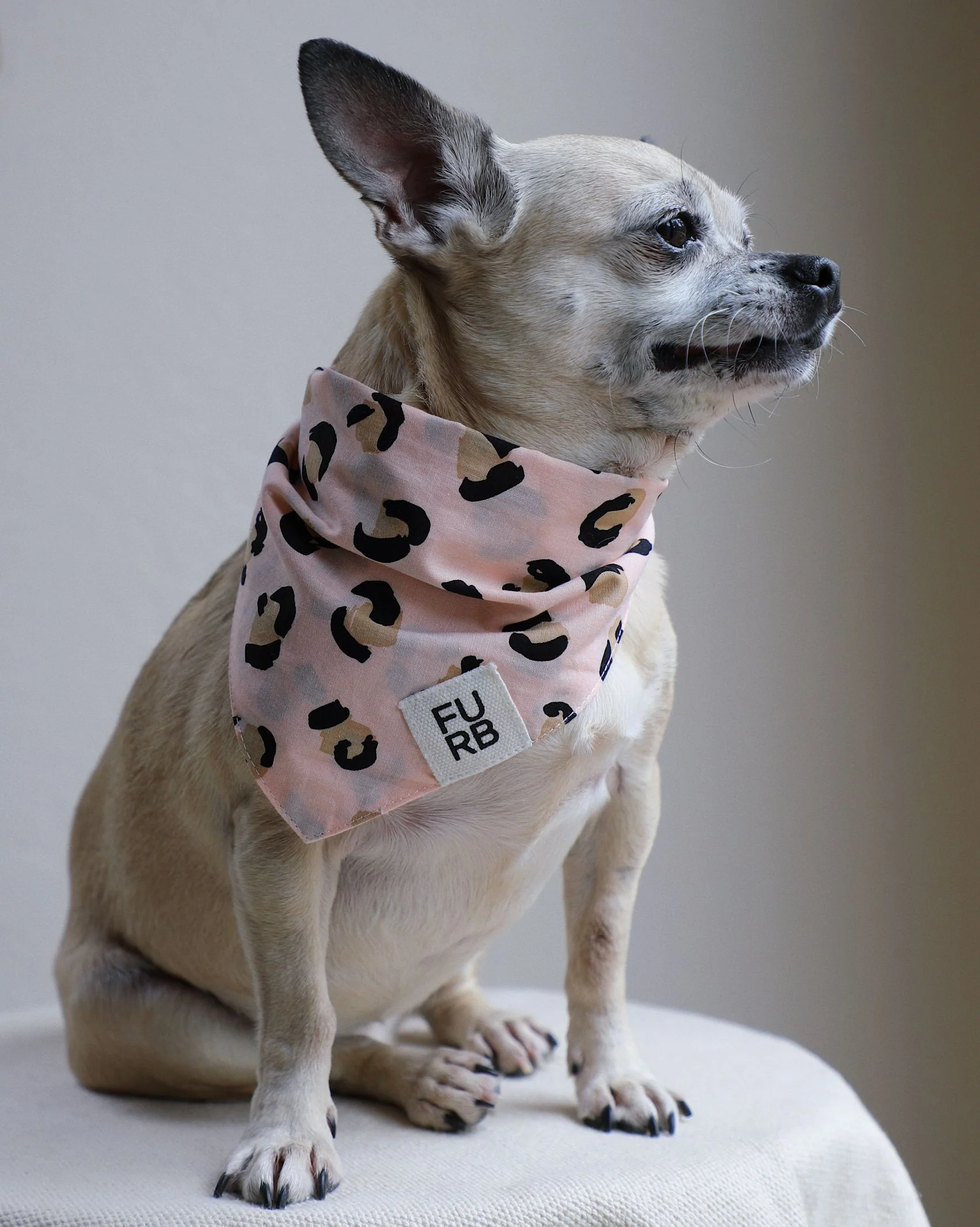 Juno Peach Leopard Dog Bandana - Image 6