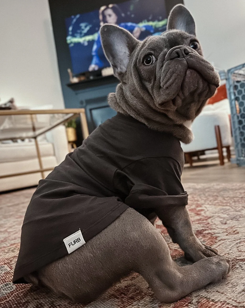 Casual Cutie Black Relaxed Dog T-Shirt - Image 3