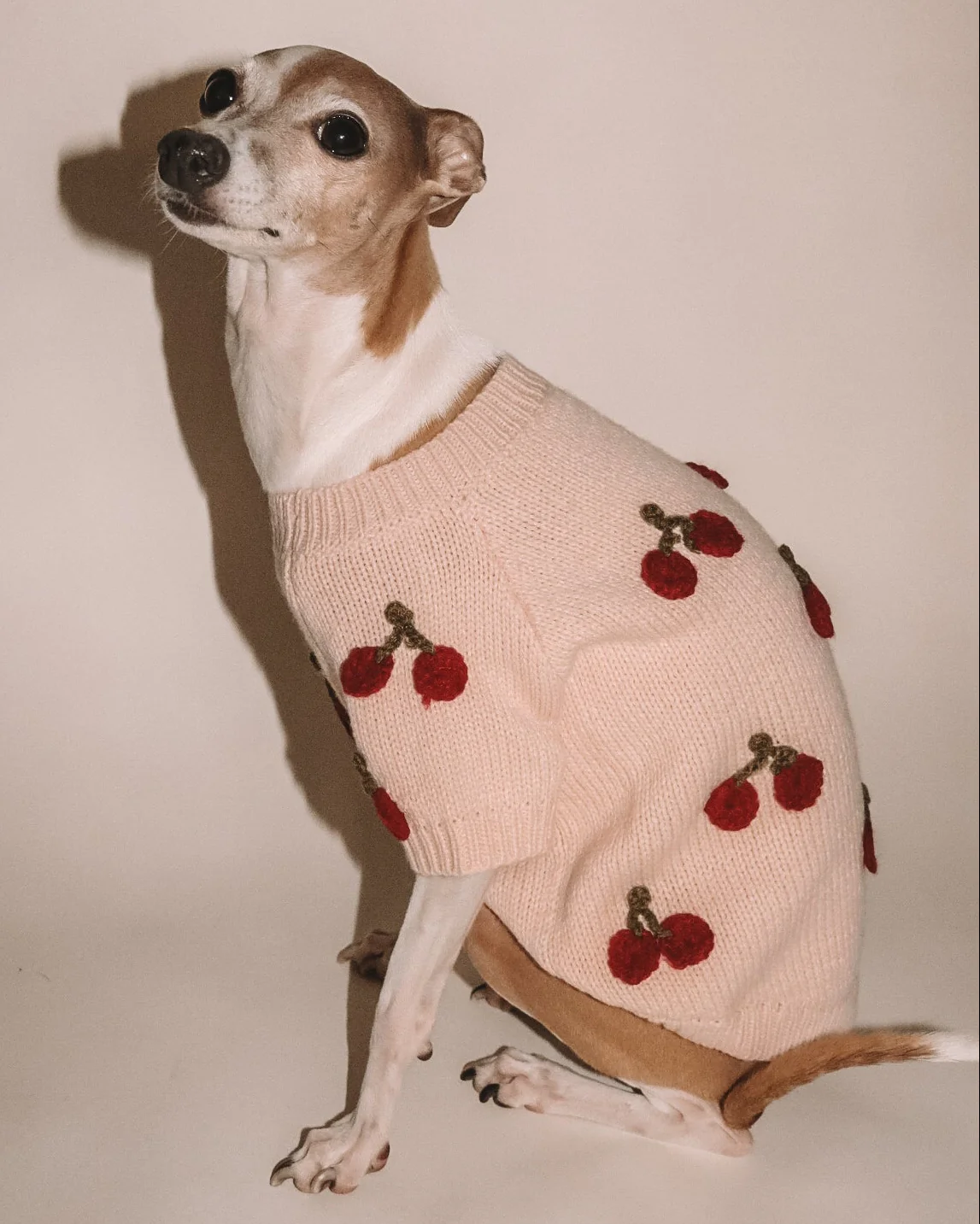 Mon Chéri Blush Cherry Dog Sweater - Image 6
