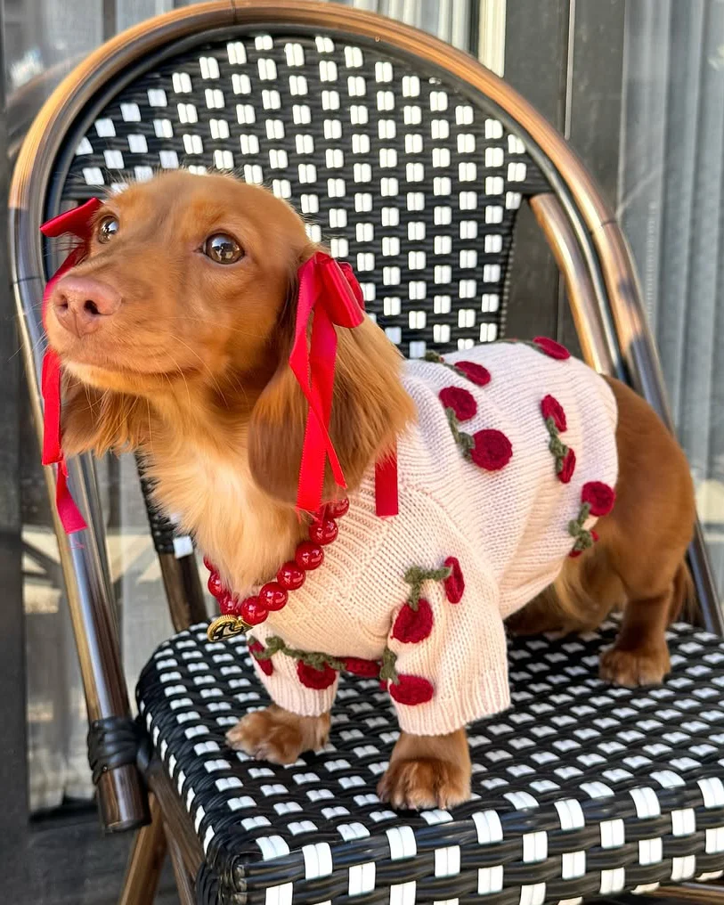 Mon Chéri Blush Cherry Dog Sweater - Image 9