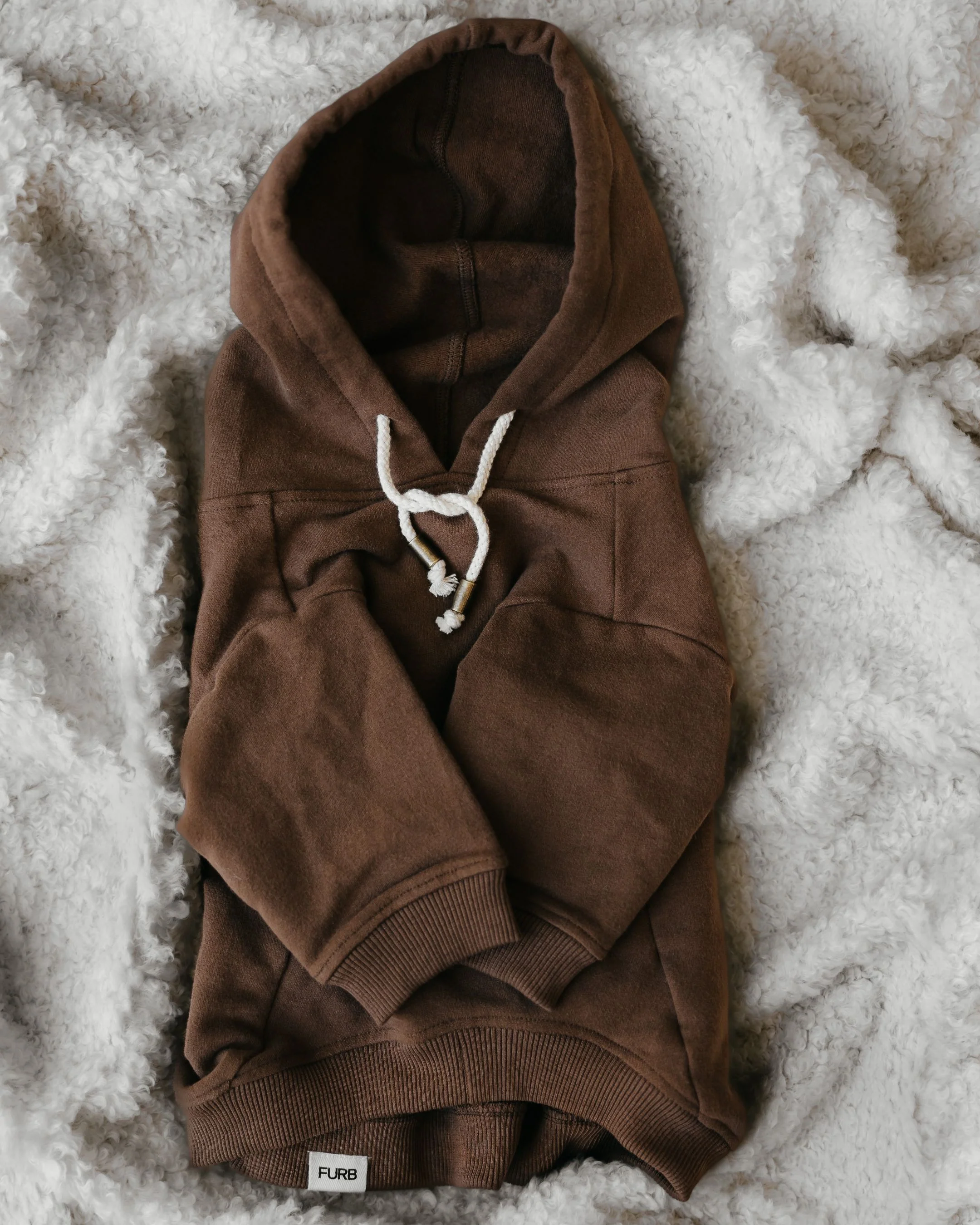 Ziggy Coffee Dog Hoodie - Image 2