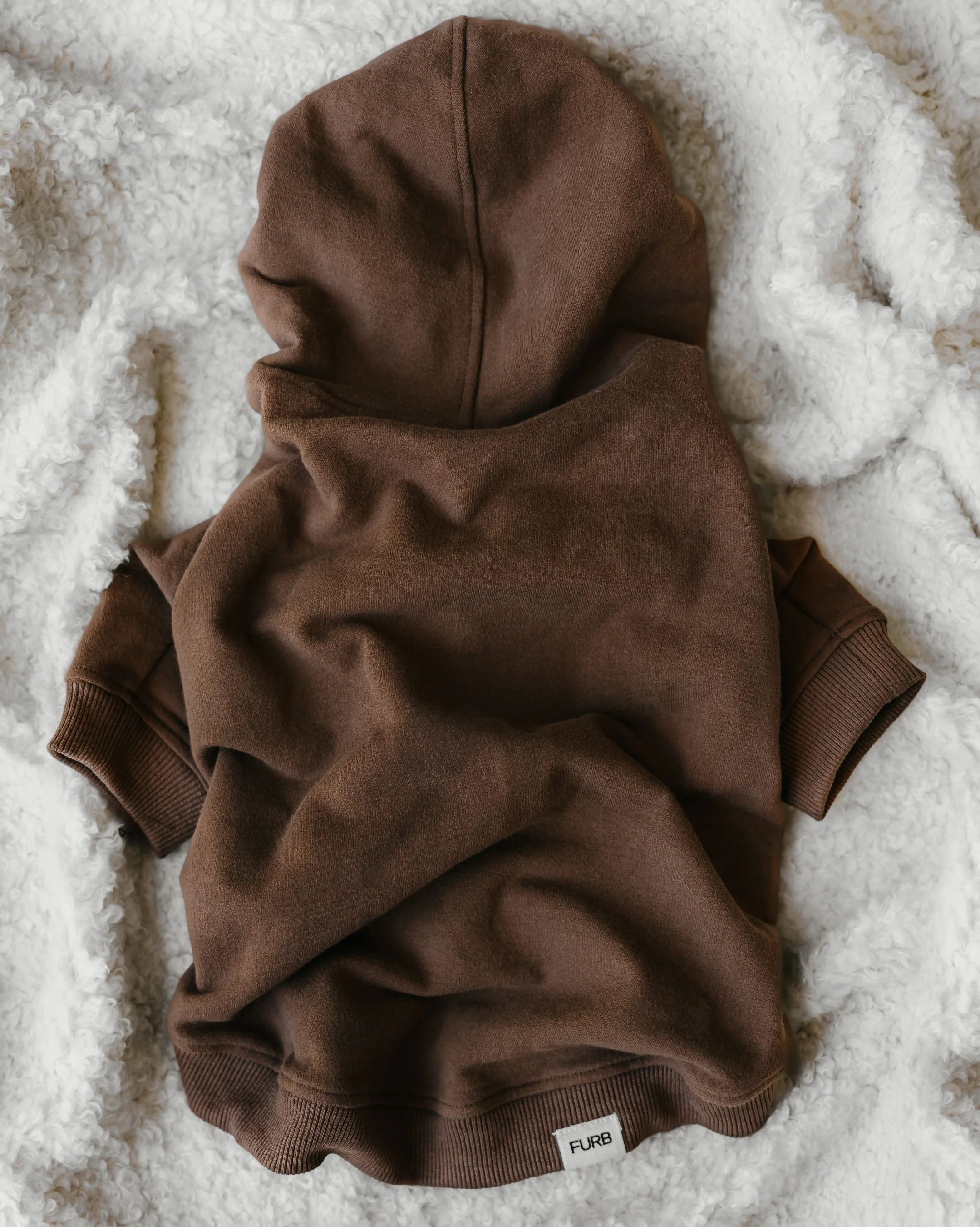 Ziggy Coffee Dog Hoodie - Image 5