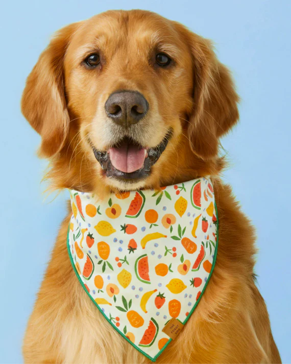 Squeeze the Day Dog Bandana - Image 2