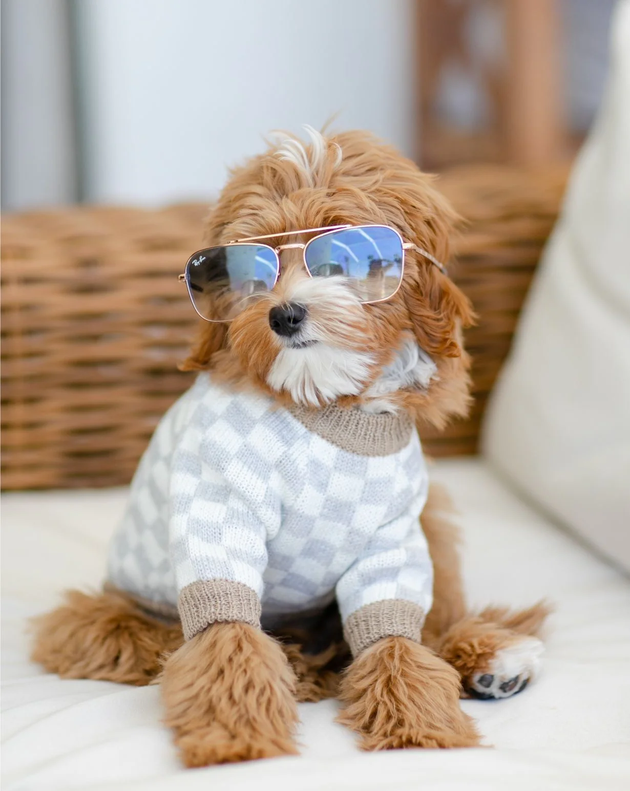 Arlo Grey Check Dog Sweater - Image 11