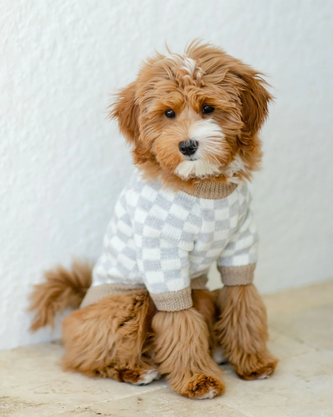 Arlo Grey Check Dog Sweater - Image 3