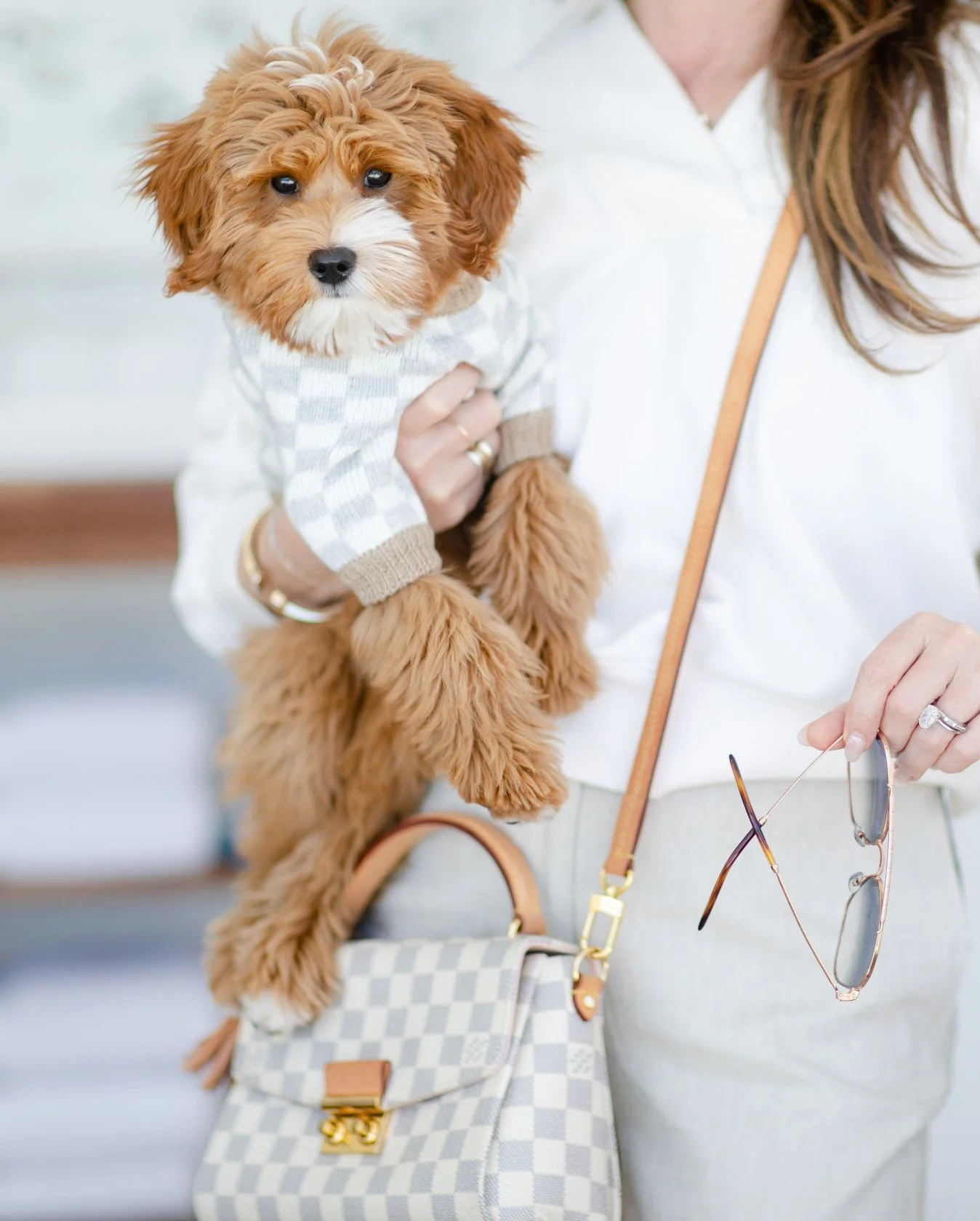 Arlo Grey Check Dog Sweater - Image 5