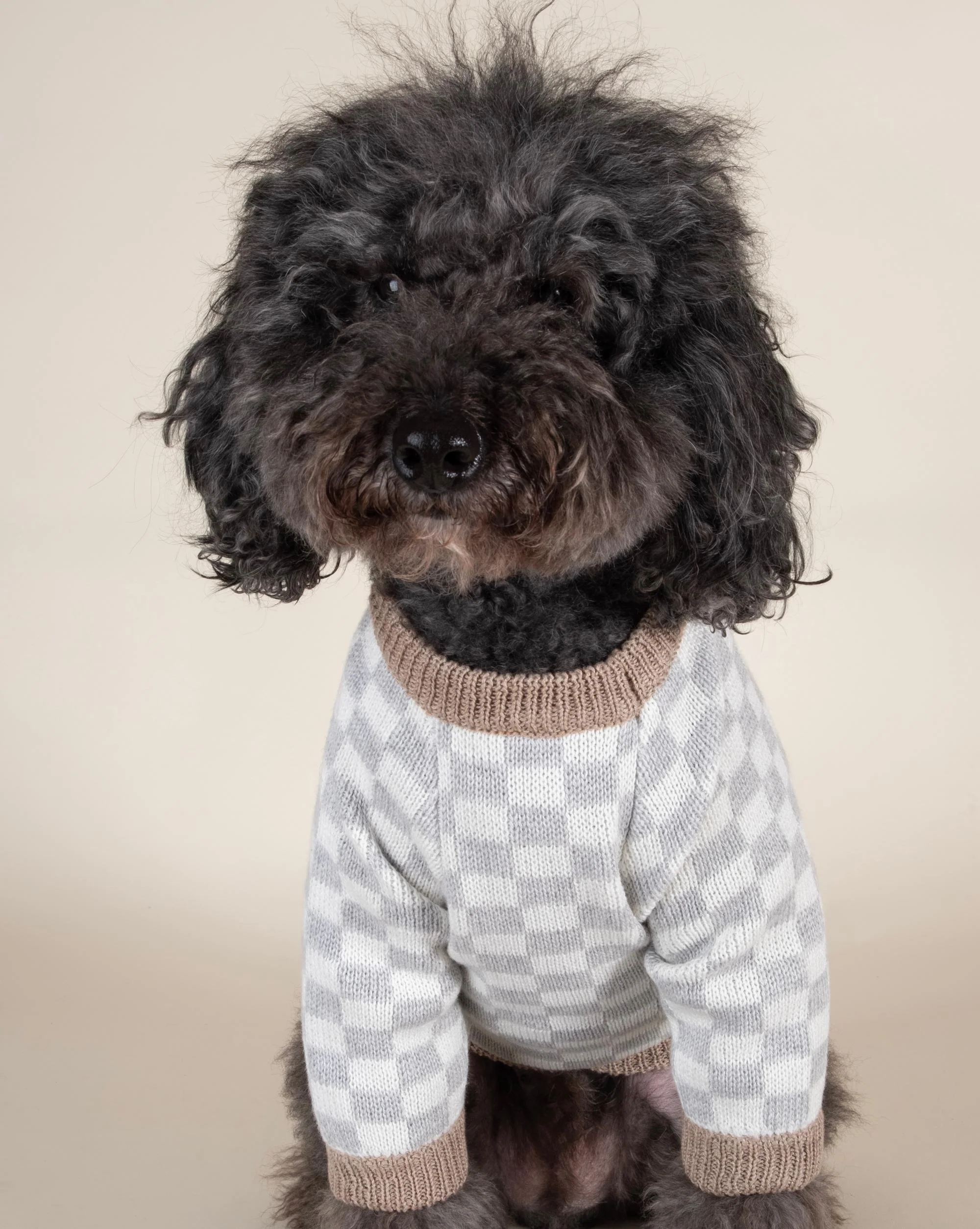 Arlo Grey Check Dog Sweater - Image 7