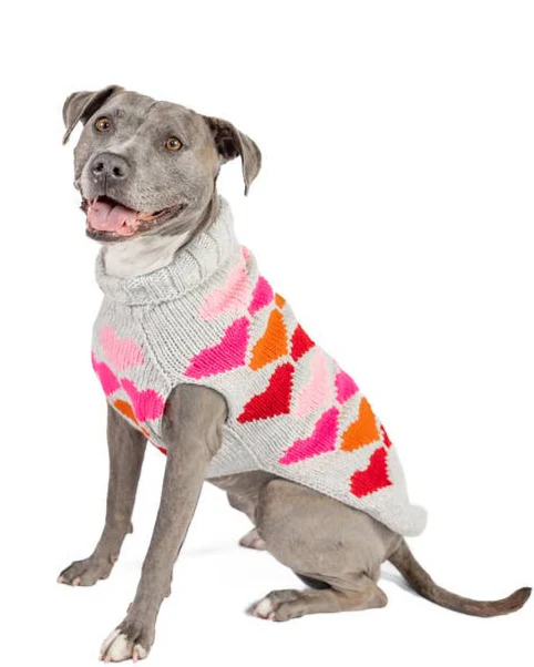 Be Mine Heart Print Dog Sweater - Image 4