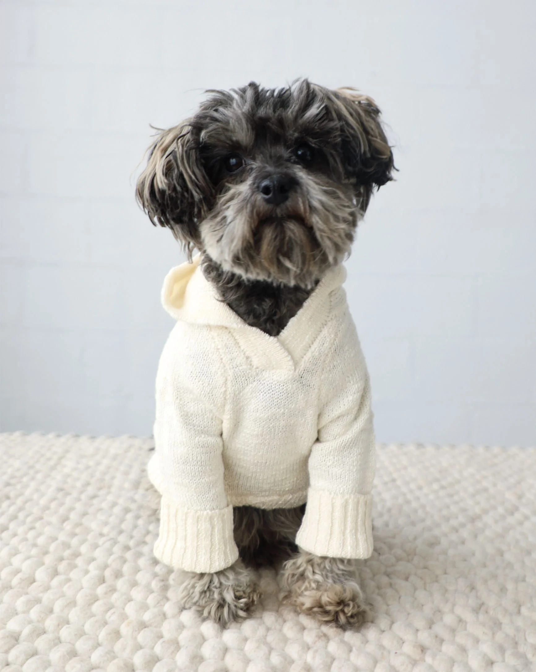 Bowie Ivory Slub Knit Hoodie