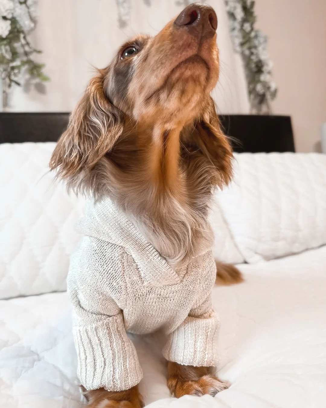 Bowie Ivory Slub Knit Hoodie - Image 6