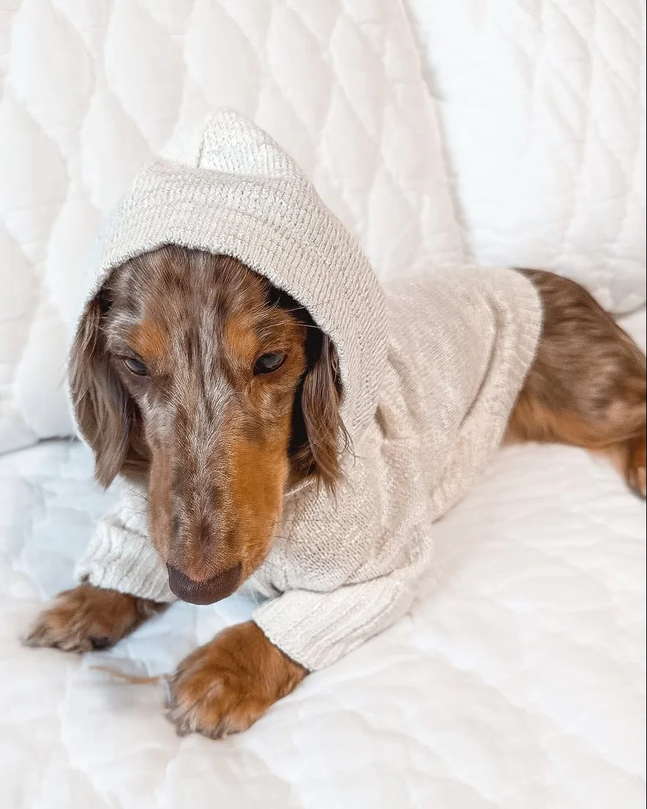 Bowie Ivory Slub Knit Hoodie - Image 7