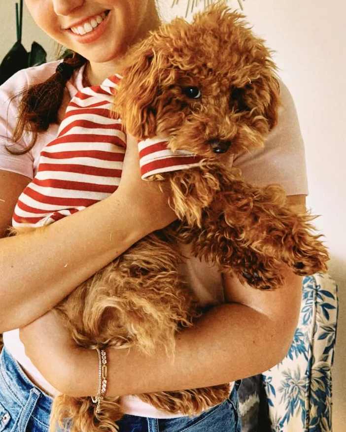 Playful Pooch Red + Ivory Striped Dog T-Shirt - Image 12