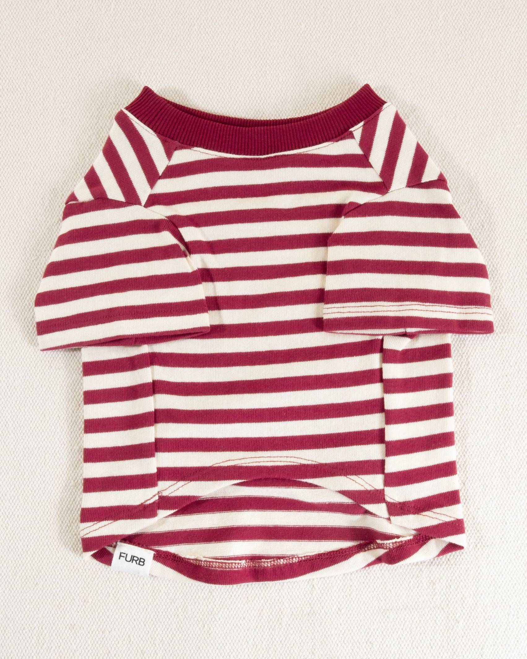 Playful Pooch Red + Ivory Striped Dog T-Shirt - Image 4