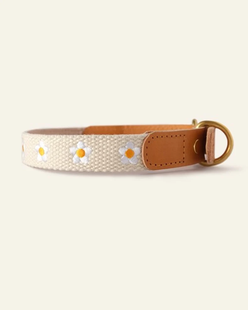 Fresh As A Daisy Collar + Leash Set - Image 3