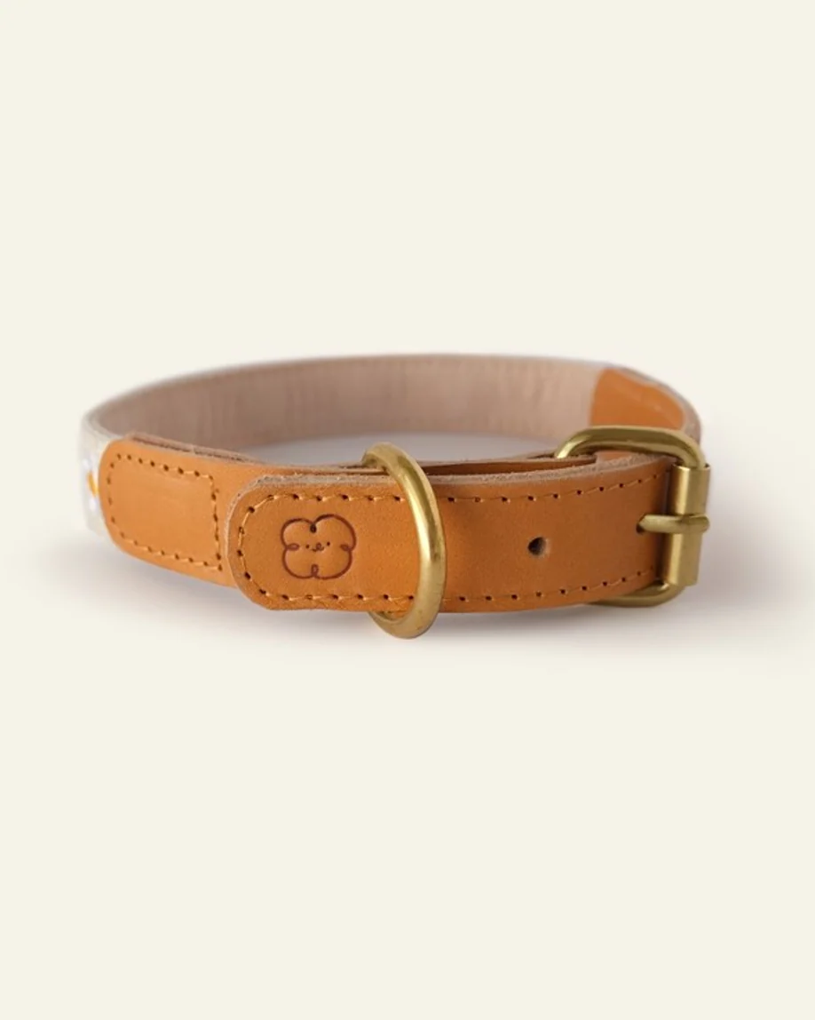 Fresh As A Daisy Collar + Leash Set - Image 5