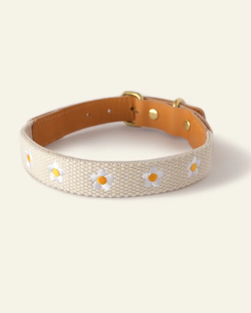 Fresh As A Daisy Collar + Leash Set - Image 6