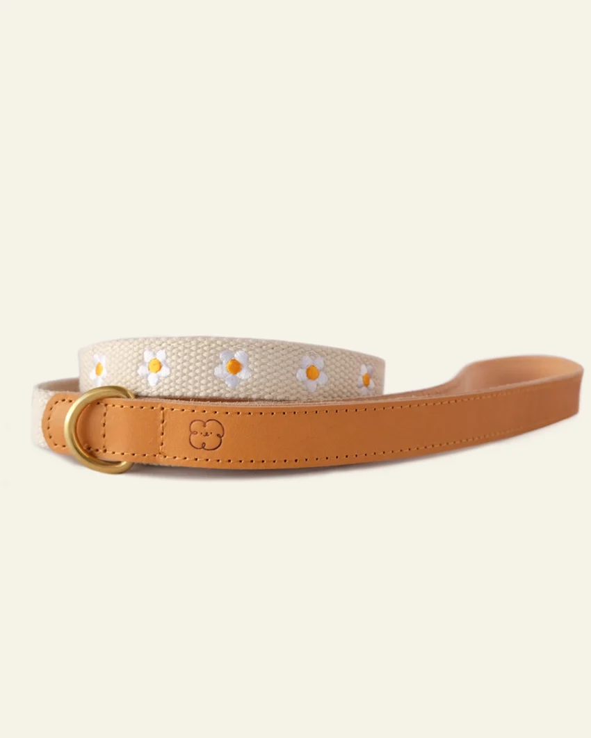 Fresh As A Daisy Collar + Leash Set - Image 7