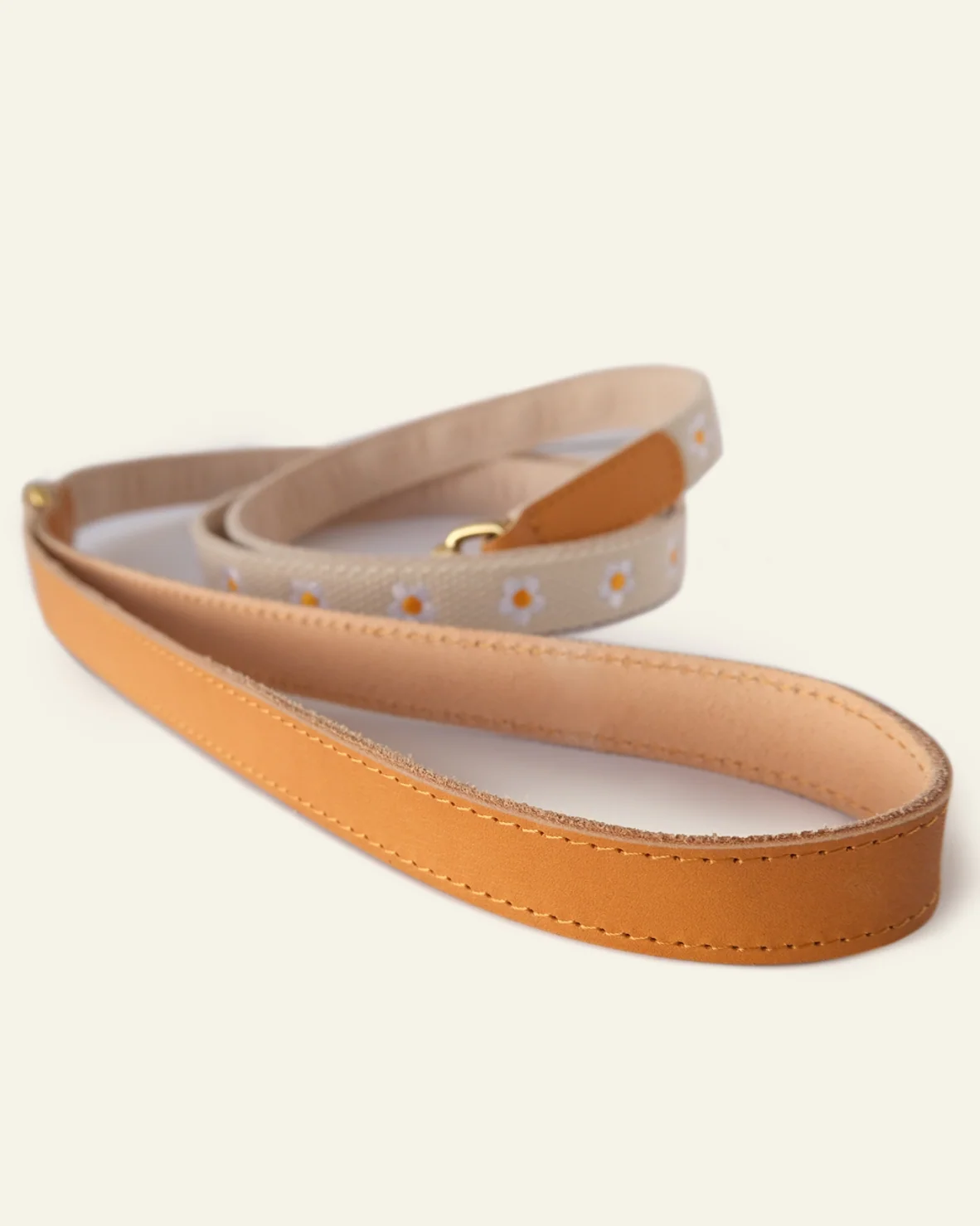 Fresh As A Daisy Collar + Leash Set - Image 8
