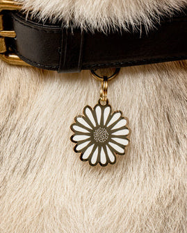 Gold + White Daisy Collar Charm - Image 2