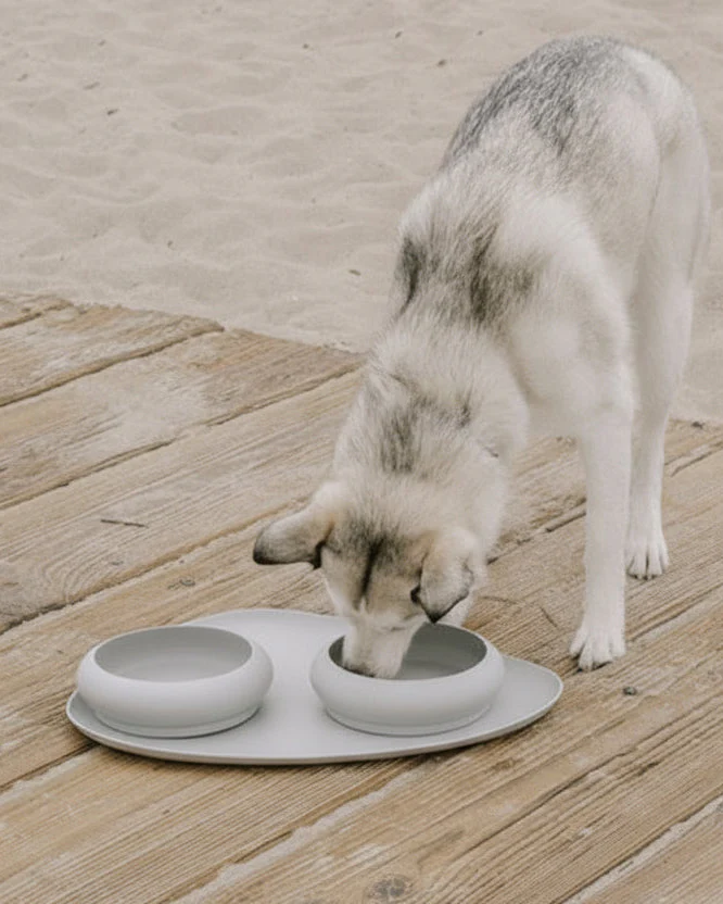 Dinner Is Served Bubble Bowl + Mat Set, Grey - Image 2
