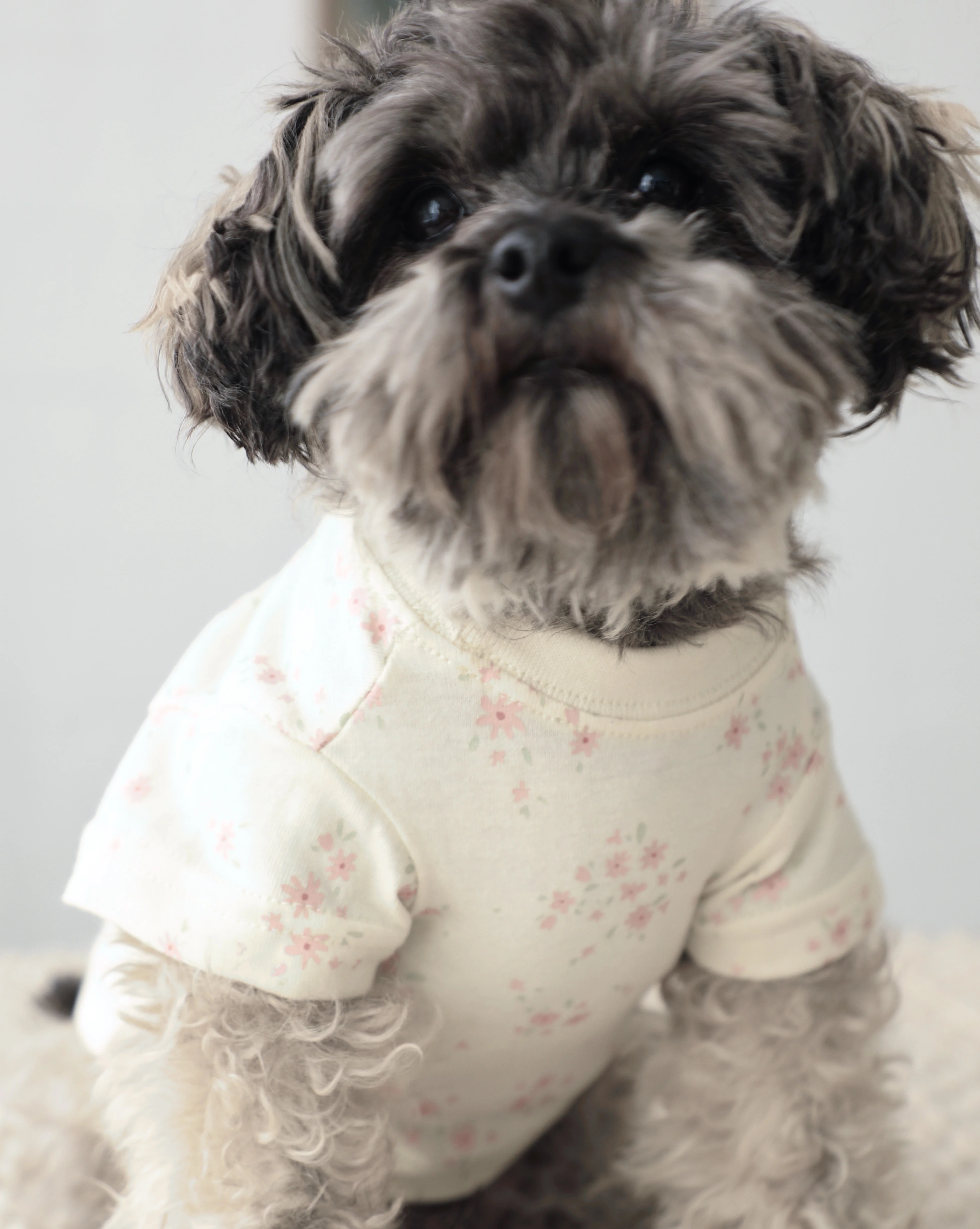 Casual Cutie Ditsy Floral Relaxed Dog T-Shirt - Image 2