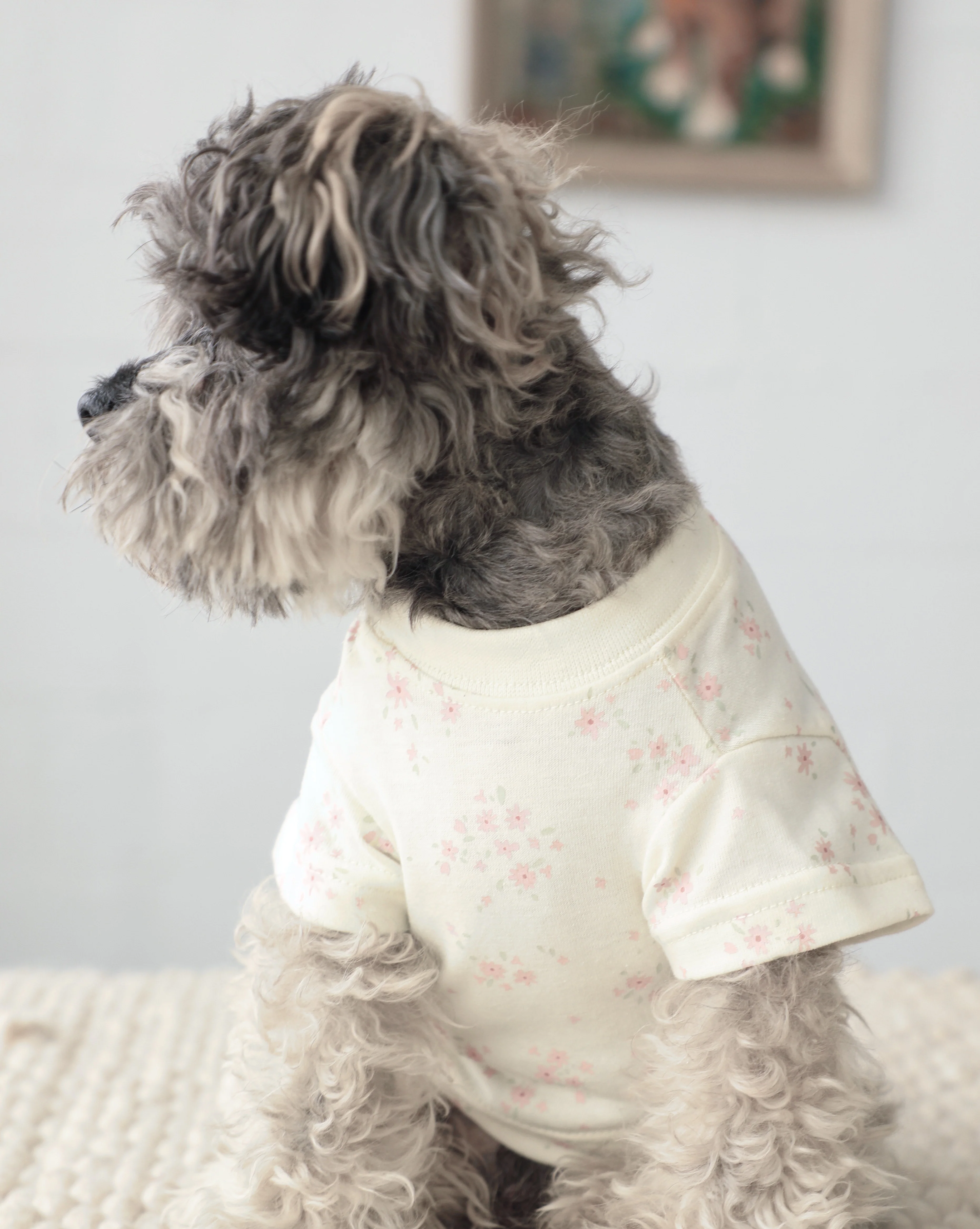 Casual Cutie Ditsy Floral Relaxed Dog T-Shirt - Image 4