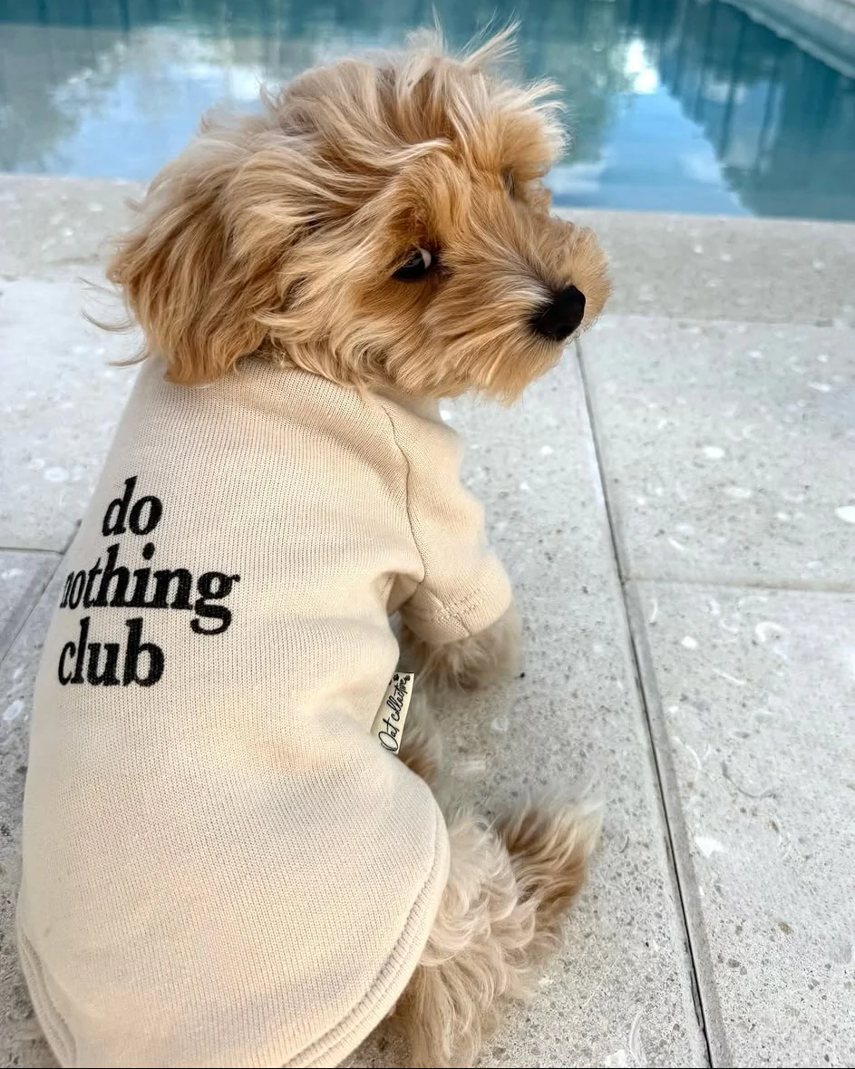 Do Nothing Club Dog Sweatshirt - Image 2