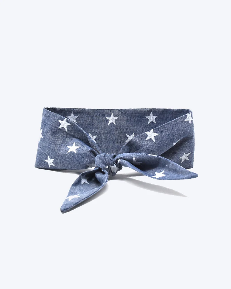 Stargazer Classic Dog Necktie